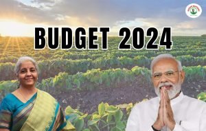 budget-2024